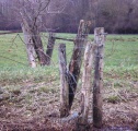 BY-13 Weipalen verweerd-a-P
