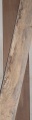 BA-07 Beuken-p