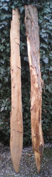 BA-02 Robinia