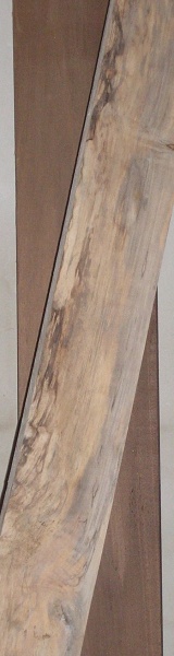 BA-07 Beuken