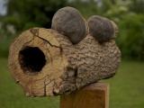 Deco_zwamstam