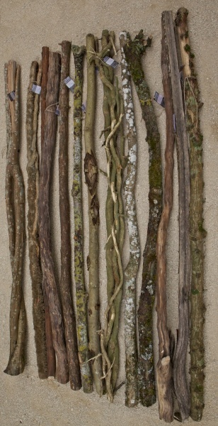 DE-10 Stammetje 220cm varia DE-10 Stammetje 220cm varia