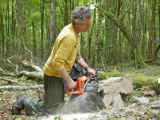 Home_Boswerk
