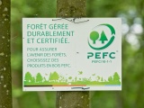 Bedrijf_Pefc